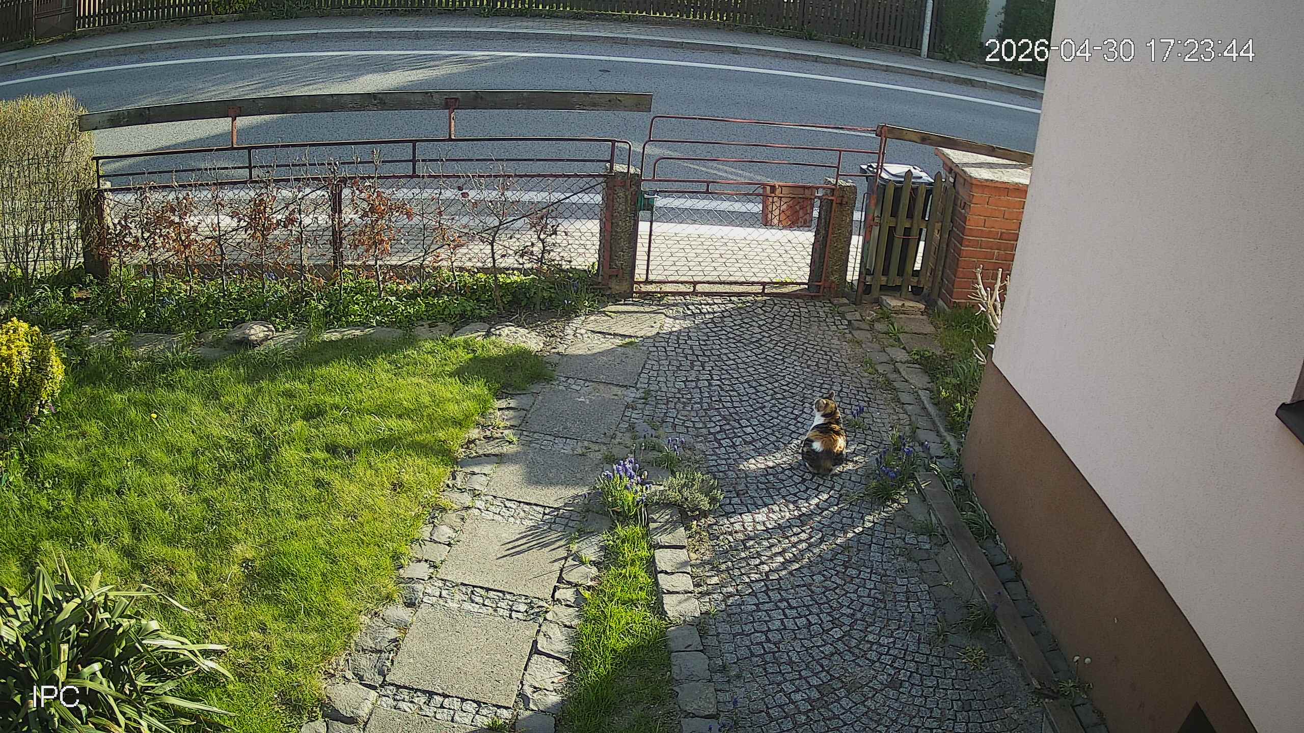 Capture